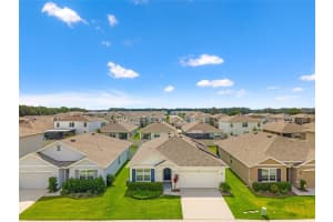 34044 Sorrel Mint Dr, WESLEY CHAPEL