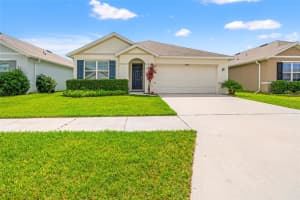 34044 SORREL MINT DRIVE, WESLEY CHAPEL, FL 33543 - MLS#MFRTB8389306