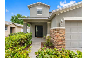 18320 SNOWDONIA DRIVE, LAND O LAKES, FL 34638 Sold 07/31/25