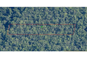 10006 BROCADE STREET, HOMOSASSA, FL 34448 - MLS#MFRTB8389358