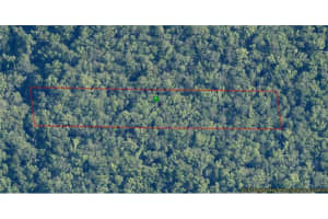 10006 BROCADE STREET, HOMOSASSA, FL 34448 - MLS#MFRTB8389358