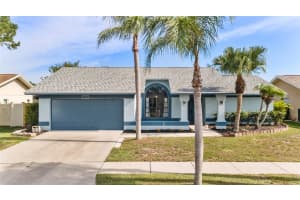 8638 Chadwick Dr, TAMPA