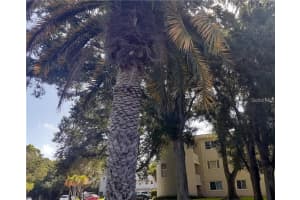 2441 Persian Dr #61, CLEARWATER