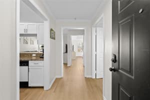 800 DAKOTA AVENUE, TAMPA, FL 33606 - MLS#MFRTB8389457