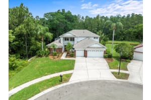 6127 CEZANNE AVENUE, LUTZ, FL 33558 Sold 07/01/25
