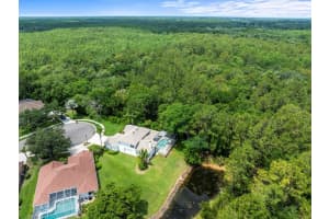 6127 CEZANNE AVENUE, LUTZ, FL 33558 Sold 07/01/25