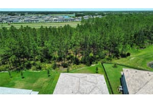 35335 BIG HAWK DRIVE, ZEPHYRHILLS, FL 33541 - MLS#MFRTB8389489