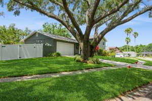 4204 NORTHWIND LANE, TAMPA, FL 33624 Sold 08/22/25