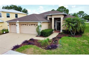 10908 Sailbrooke Dr, RIVERVIEW