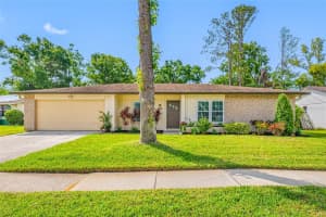 4220 WOODLARK DRIVE, TAMPA, FL 33624 Sold 07/18/25