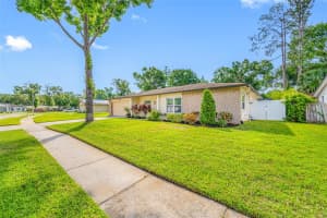 4220 WOODLARK DRIVE, TAMPA, FL 33624 Sold 07/18/25