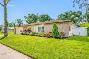 4220 WOODLARK DRIVE, TAMPA, FL 33624 Sold 07/18/25