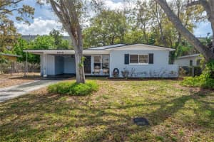 2918 ELLIS DRIVE, TAMPA, FL 33611 - MLS#MFRTB8389552