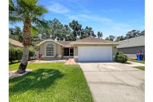8812 Bayaud Dr, TAMPA