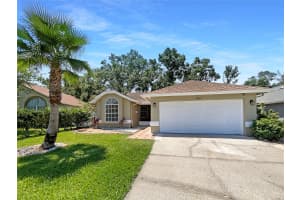 8812 BAYAUD DRIVE, TAMPA, FL 33626 - MLS#MFRTB8389563