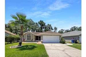 8812 BAYAUD DRIVE, TAMPA, FL 33626 - MLS#MFRTB8389563