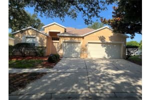 11420 Bridge Pine Dr, RIVERVIEW
