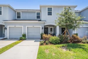 7030 Summer Holly Pl, RIVERVIEW