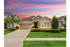 17610 BUCKINGHAM GARDEN DRIVE, LITHIA, FL 33547 Sold 08/11/25