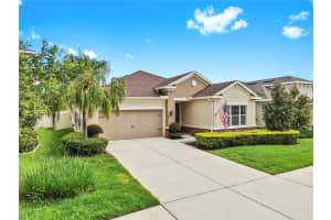 17610 BUCKINGHAM GARDEN DRIVE, LITHIA, FL 33547 Sold 08/11/25