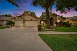 905 BALSAMINA DRIVE, BRANDON, FL 33510 - MLS#MFRTB8389649