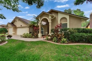 905 BALSAMINA DRIVE, BRANDON, FL 33510 - MLS#MFRTB8389649