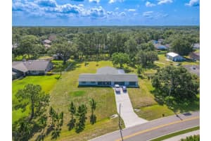 12220 Twin Branch Acres Rd, TAMPA
