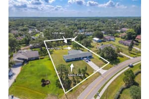 12220 TWIN BRANCH ACRES ROAD, TAMPA, FL 33626 - MLS#MFRTB8389666