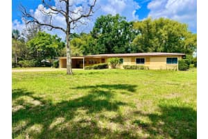 10308 Fore Dr, TAMPA