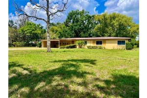 10308 FORE DRIVE, TAMPA, FL 33612 - MLS#MFRTB8389670