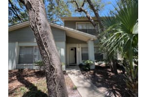14667 Pine Glen Crk #14667, LUTZ