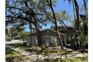 14667 PINE GLEN CREEK, LUTZ, FL 33559 - MLS#MFRTB8389701