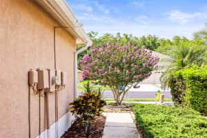 31108 WHITLOCK DRIVE, WESLEY CHAPEL, FL 33543 Sold 08/07/25