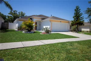 3201 Pine Top Dr, VALRICO