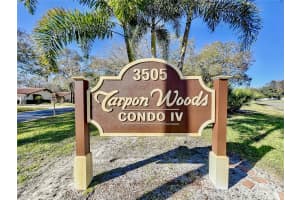 3505 TARPON WOODS BOULEVARD, PALM HARBOR, FL 34685 - MLS#MFRTB8389818