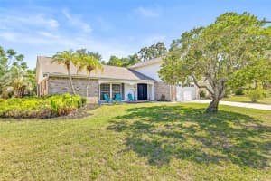 12222 MEADOWBROOK LANE, HUDSON, FL 34667 - MLS#MFRTB8389881