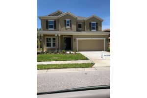4916 Rolling Green Dr, WESLEY CHAPEL