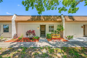 2928 Feather Dr, CLEARWATER
