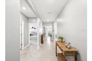 33716 ELM HILL BRANCH, WESLEY CHAPEL, FL 33545 - MLS#MFRTB8389983