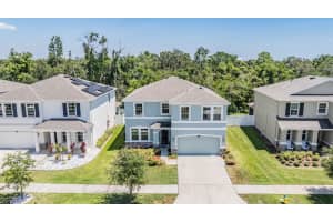 8208 PRAISE DRIVE, TAMPA, FL 33625 - MLS#MFRTB8390009