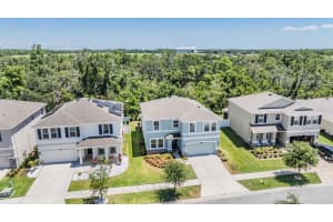 8208 PRAISE DRIVE, TAMPA, FL 33625 - MLS#MFRTB8390009