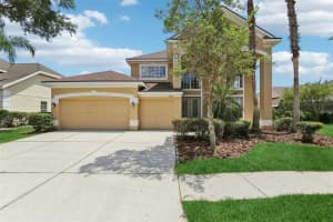 10205 Deercliff Dr, TAMPA