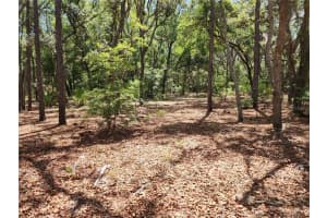 3775/3787 OSPREY POINT, INVERNESS, FL 34450 Sold 11/25/25