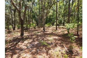 3775/3787 OSPREY POINT, INVERNESS, FL 34450 Sold 11/25/25