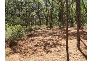 3775/3787 OSPREY POINT, INVERNESS, FL 34450 Sold 11/25/25