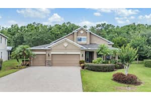 19312 SUNSET BAY DRIVE, LAND O LAKES, FL 34638 Sold 07/31/25