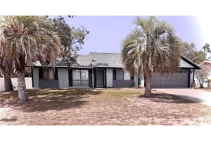 11807 ADDISON STREET, SPRING HILL, FL 34609 - MLS#MFRTB8390095