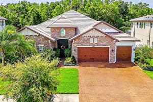 29118 Picana Ln, WESLEY CHAPEL
