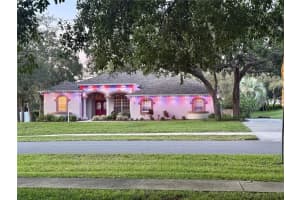 13133 ROSEANNA DRIVE, SPRING HILL, FL 34609 Sold 07/21/25