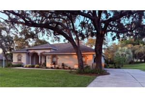 13133 ROSEANNA DRIVE, SPRING HILL, FL 34609 Sold 07/21/25